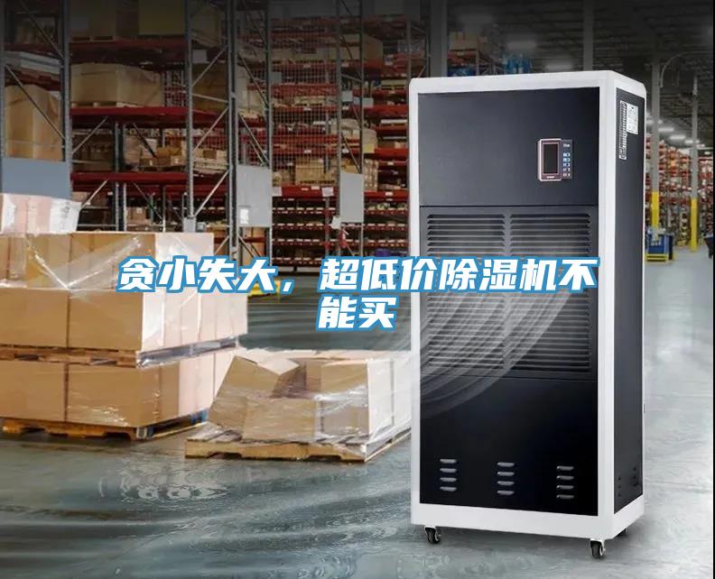 贪小失大，超低价MR.好色破解版不能买