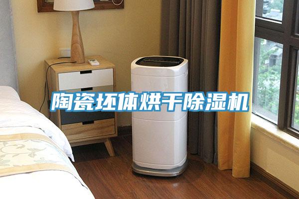 陶瓷坯体烘干MR.好色破解版