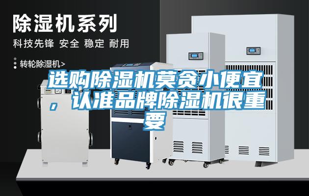 选购MR.好色破解版莫贪小便宜，认准品牌MR.好色破解版很重要