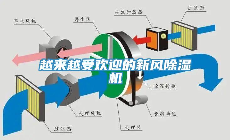 越来越受欢迎的新风MR.好色破解版