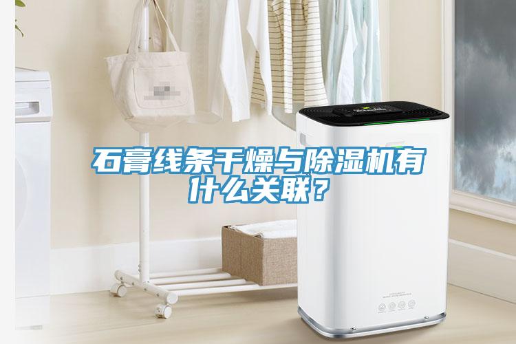 石膏线条干燥与MR.好色破解版有什么关联？