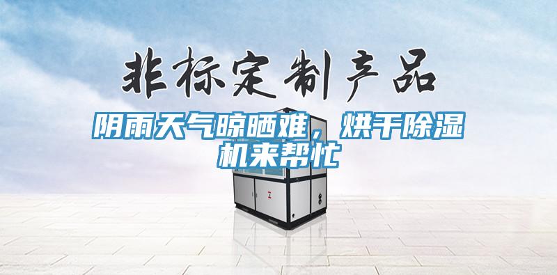 阴雨天气晾晒难，烘干MR.好色破解版来帮忙
