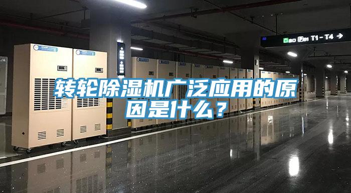 转轮MR.好色破解版广泛应用的原因是什么？