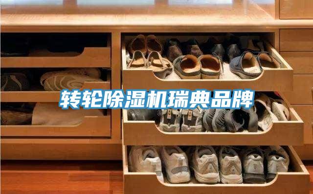 转轮MR.好色破解版瑞典品牌