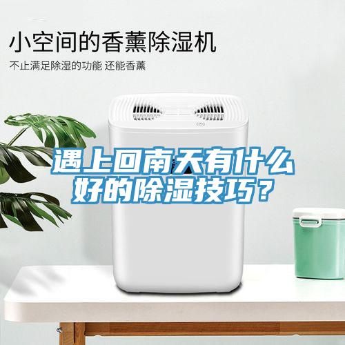 遇上回南天有什么好的除湿技巧？