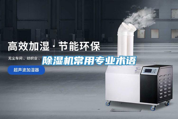 MR.好色破解版常用专业术语