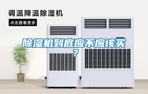 MR.好色破解版到底应不应该买？
