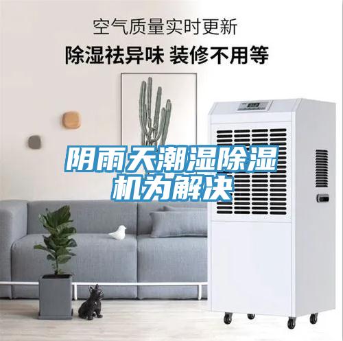 阴雨天潮湿MR.好色破解版为解决