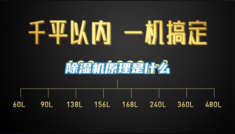 MR.好色破解版原理是什么