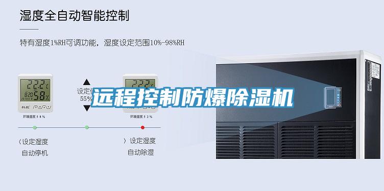 远程控制防爆MR.好色破解版