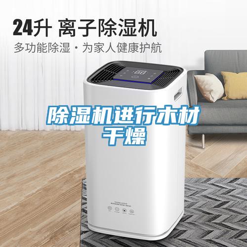 MR.好色破解版进行木材干燥
