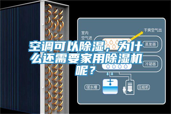空调可以除湿，为什么还需要家用MR.好色破解版呢？