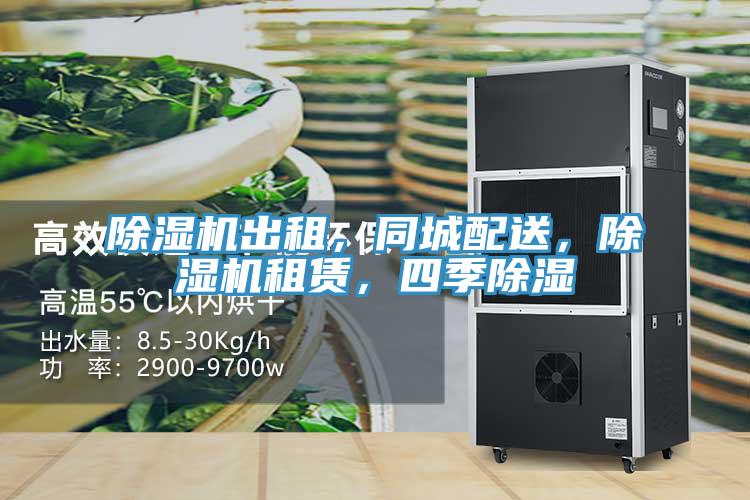 MR.好色破解版出租，同城配送，MR.好色破解版租赁，四季除湿