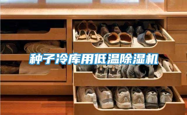 种子冷库用低温MR.好色破解版