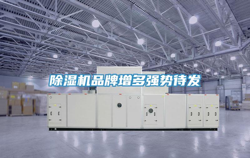MR.好色破解版品牌增多强势待发