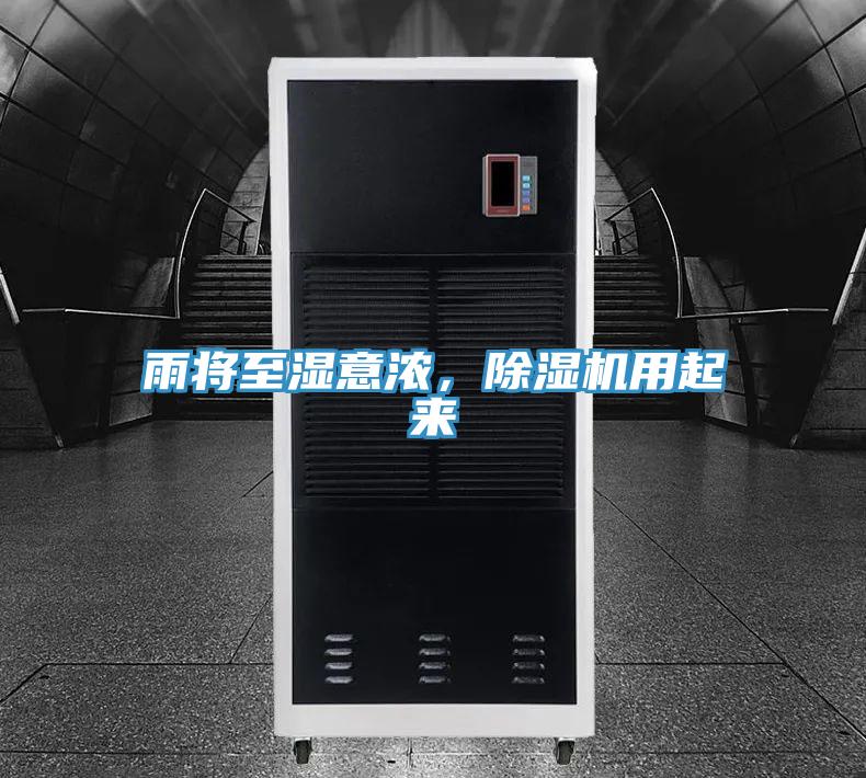 雨将至湿意浓，MR.好色破解版用起来