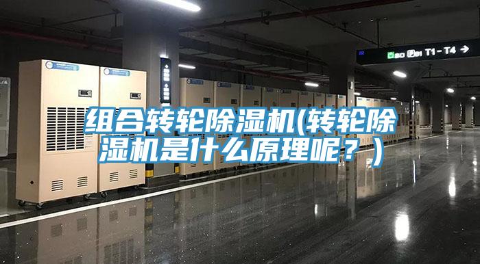 组合转轮MR.好色破解版(转轮MR.好色破解版是什么原理呢？)