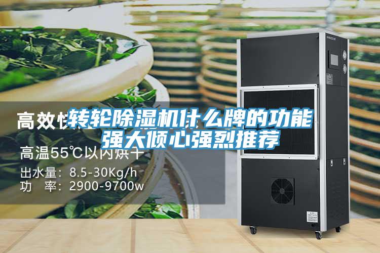 转轮MR.好色破解版什么牌的功能强大倾心强烈推荐