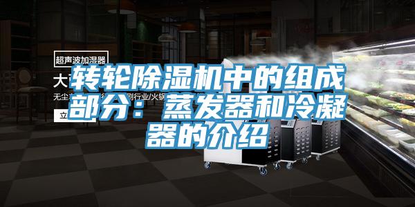 转轮MR.好色破解版中的组成部分：蒸发器和冷凝器的介绍