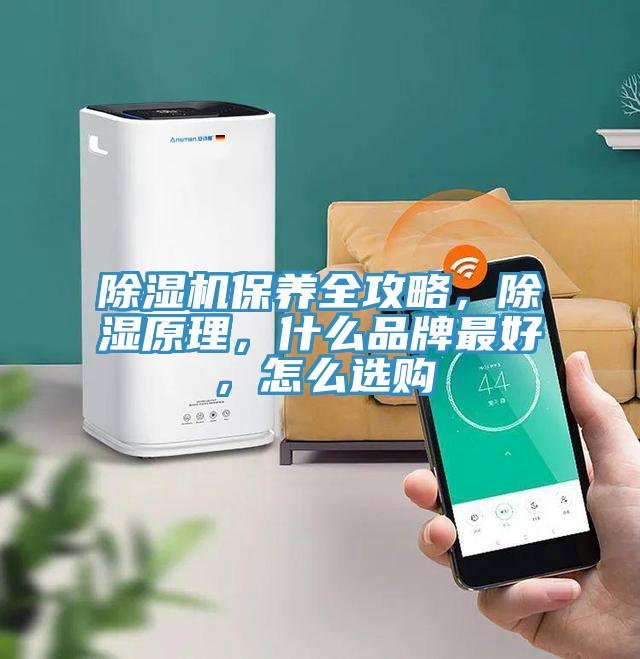 MR.好色破解版保养全攻略，除湿原理，什么品牌最好，怎么选购