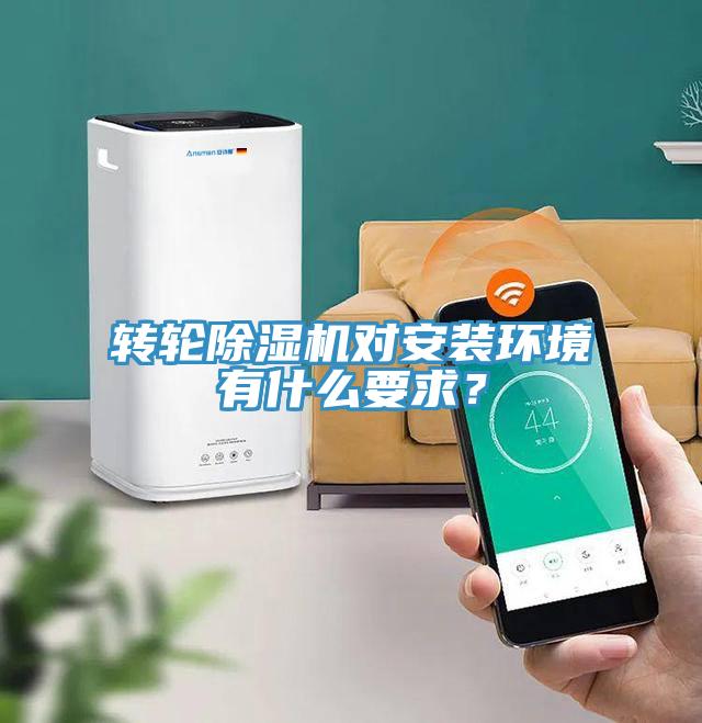 转轮MR.好色破解版对安装环境有什么要求？