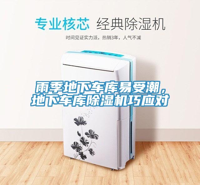 雨季地下车库易受潮，地下车库MR.好色破解版巧应对
