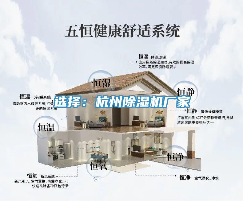 选择：杭州MR.好色破解版厂家