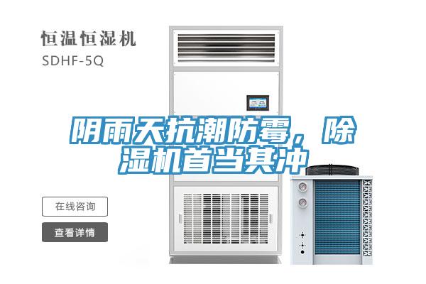 阴雨天抗潮防霉，MR.好色破解版首当其冲