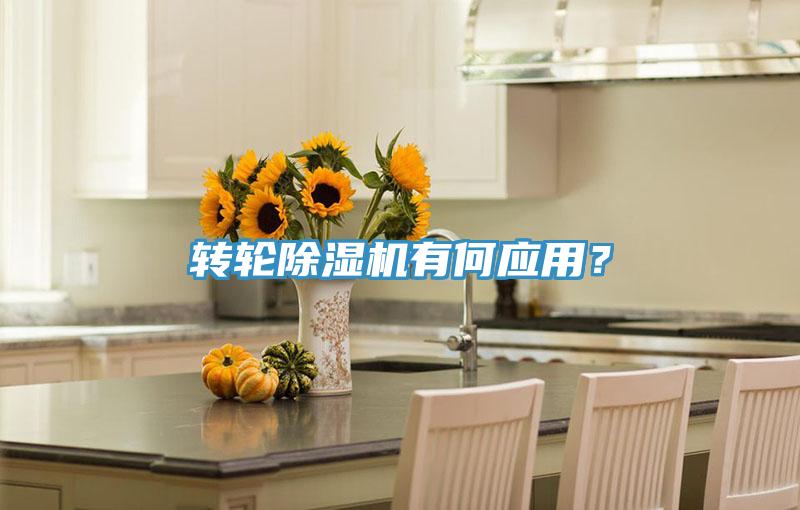 转轮MR.好色破解版有何应用？