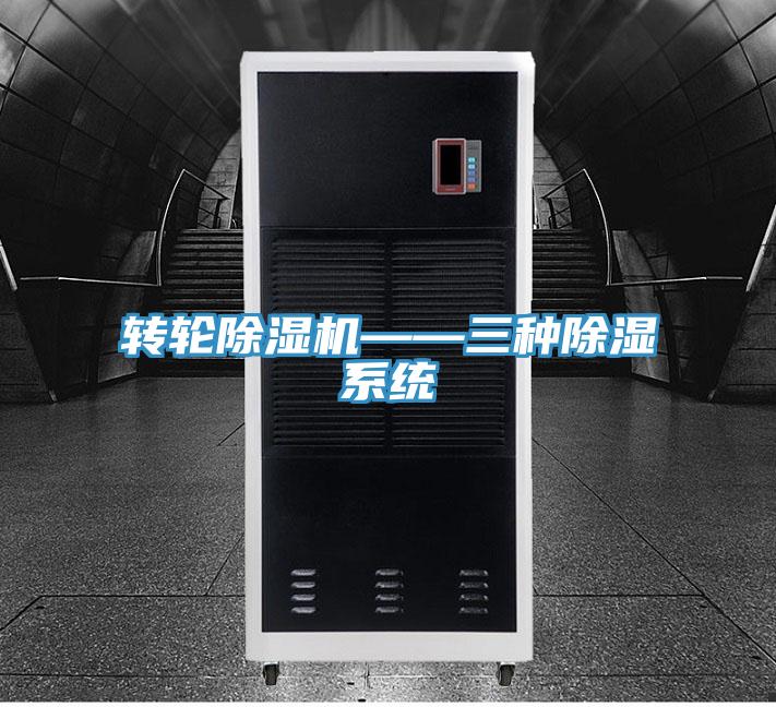 转轮MR.好色破解版——三种除湿系统