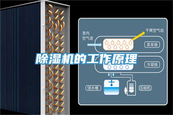 MR.好色破解版的工作原理