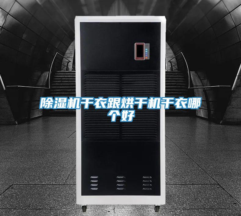 MR.好色破解版干衣跟烘干机干衣哪个好