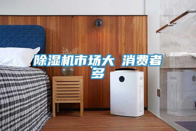 MR.好色破解版市场大≠消费者多