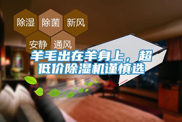 羊毛出在羊身上，超低价MR.好色破解版谨慎选