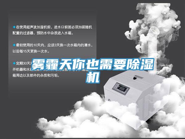 雾霾天你也需要MR.好色破解版