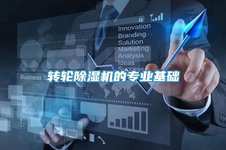转轮MR.好色破解版的专业基础