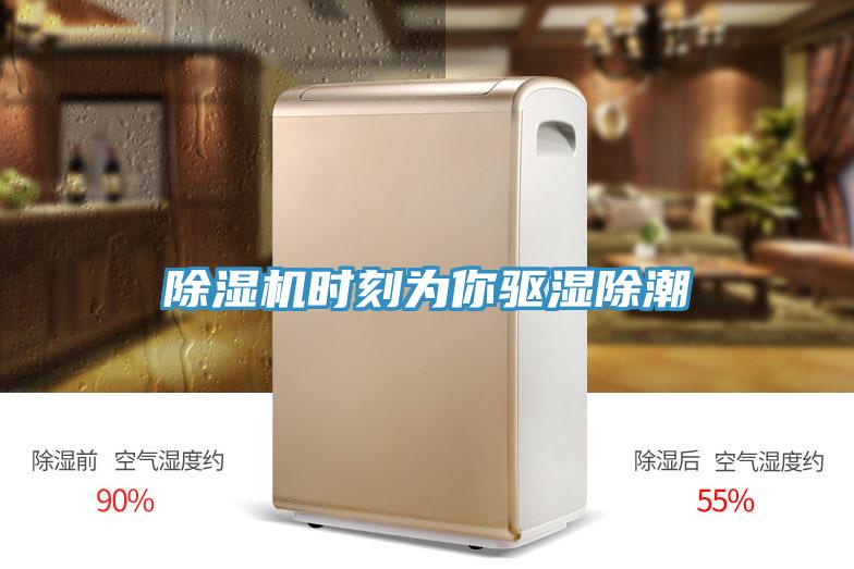 MR.好色破解版时刻为你驱湿除潮