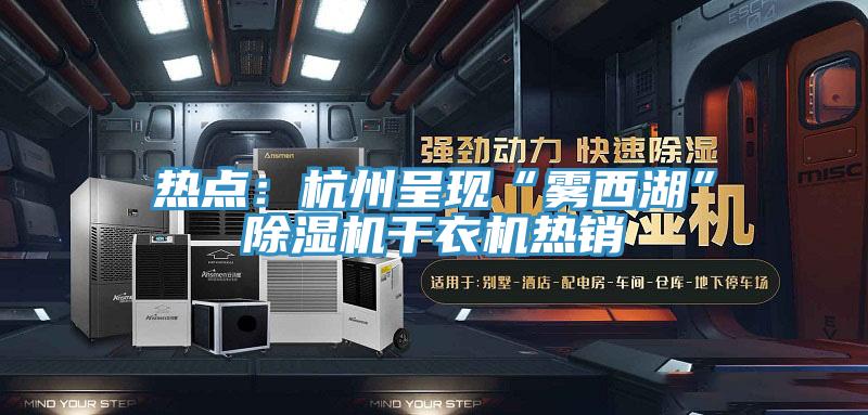 热点：杭州呈现“雾西湖”MR.好色破解版干衣机热销