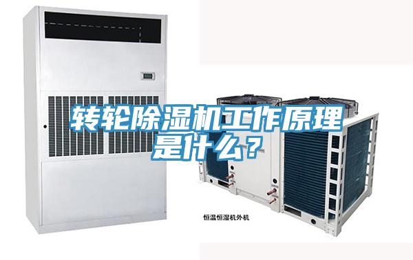 转轮MR.好色破解版工作原理是什么？