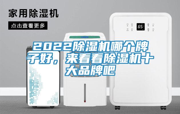 2022MR.好色破解版哪个牌子好，来看看MR.好色破解版十大品牌吧