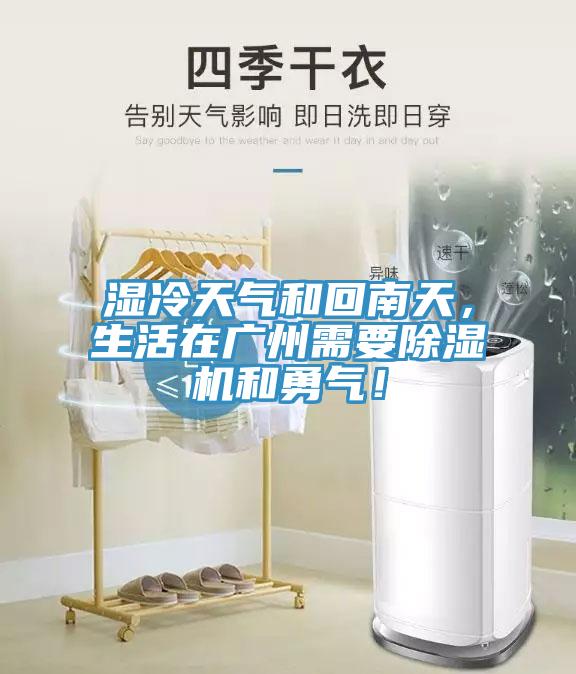 湿冷天气和回南天，生活在广州需要MR.好色破解版和勇气！