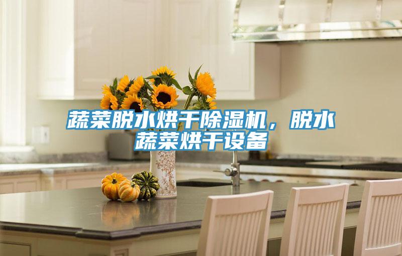 蔬菜脱水烘干MR.好色破解版，脱水蔬菜烘干设备