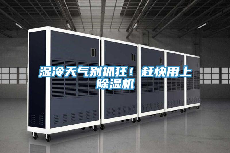 湿冷天气别抓狂！赶快用上MR.好色破解版