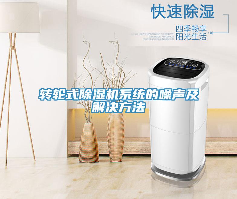 转轮式MR.好色破解版系统的噪声及解决方法