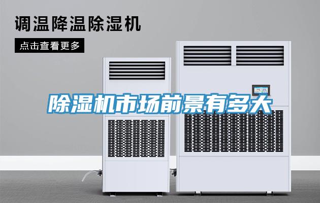 MR.好色破解版市场前景有多大