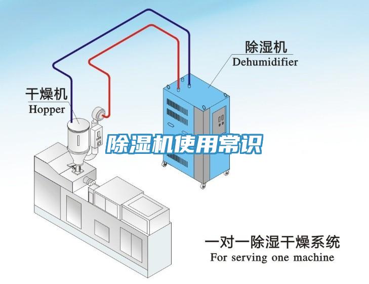 MR.好色破解版使用常识