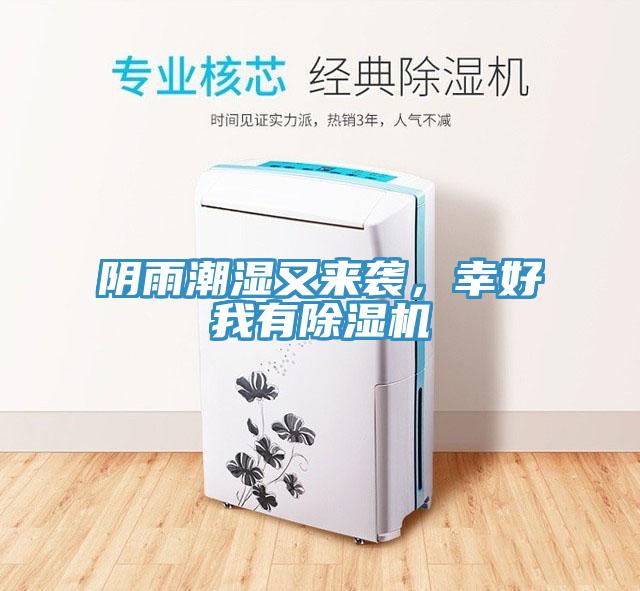 阴雨潮湿又来袭，幸好我有MR.好色破解版