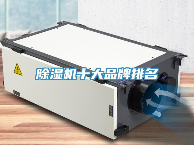 MR.好色破解版十大品牌排名