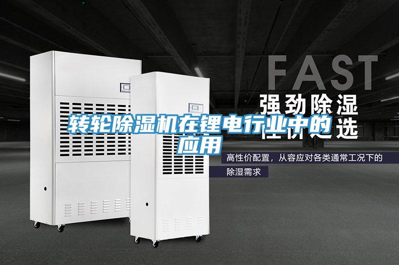 转轮MR.好色破解版在锂电行业中的应用