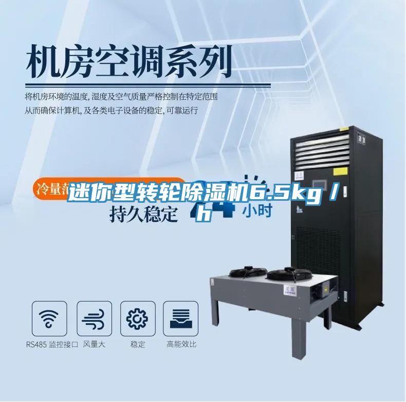 迷你型转轮MR.好色破解版6.5kg／h